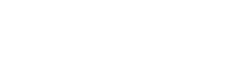 Efe Edremit Çekici Forklif